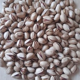 تامین مستقیم پسته فندقی شاه پسند + گزینه ای جذاب برای فروش ویژه + قیمت و خرید عمده